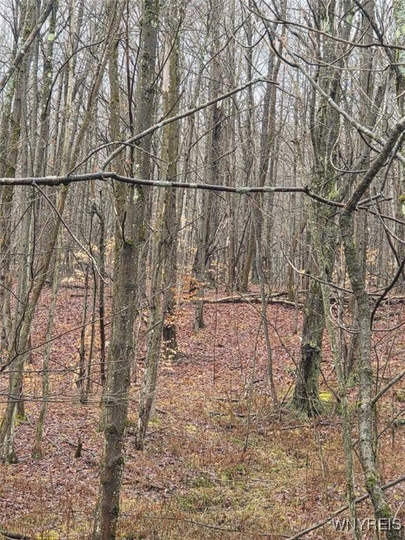 0 Beech Tree Rd unit B1653186, Ashford, NY 14141 - photo 5