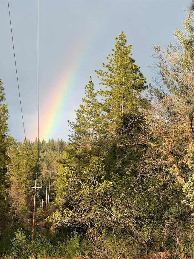 430 Hillside Dr, Applegate, CA 95703 - photo 4