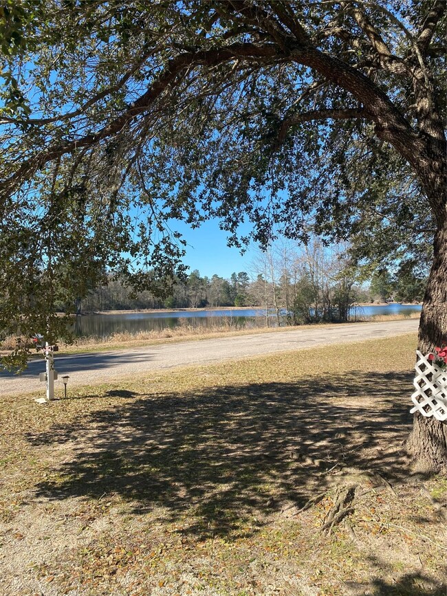 25248 Shoreline Rd, Hockley, TX 77447 - photo 6