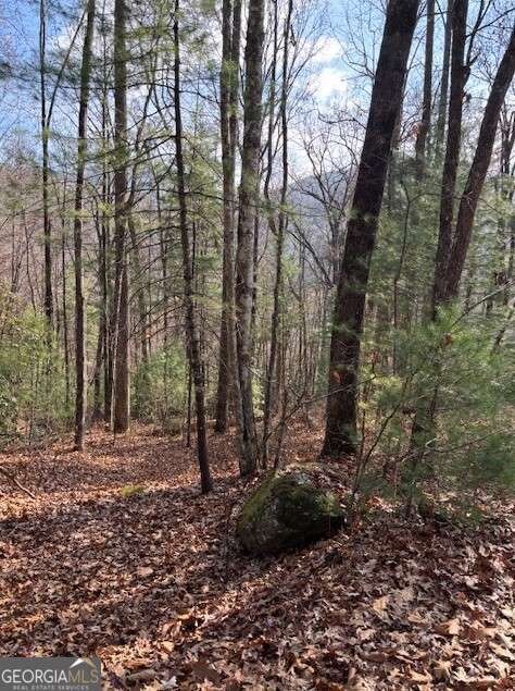 0 Evergreen Ln unit 10649699, Dillard, GA 30537 - photo 5