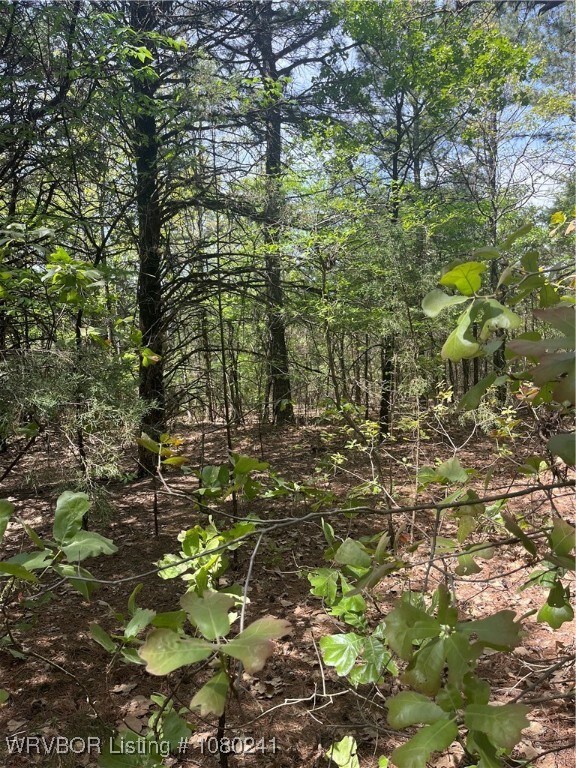 Tract 7 Station Rd, Bokoshe, OK 74930 - photo 4