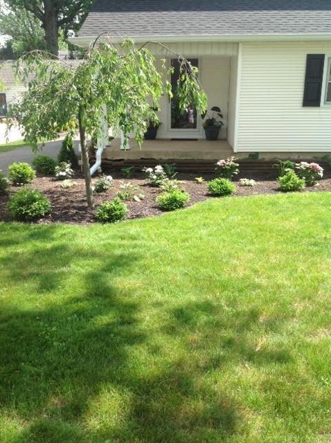 Porch - Summer View.JPG