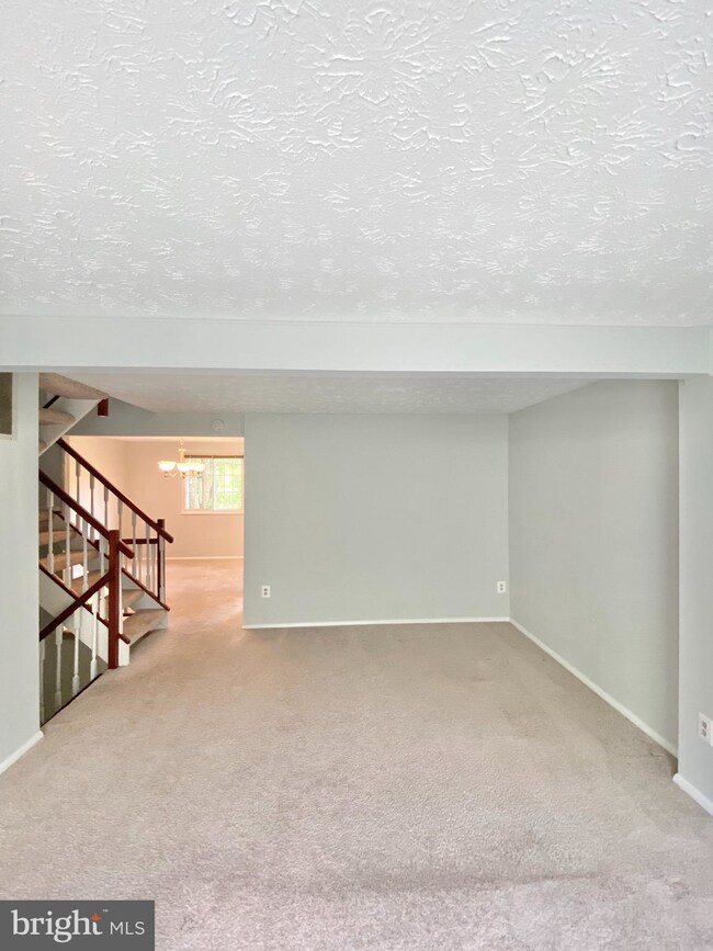 6808 Hutchison St, Falls Church, VA 22043 - photo 5