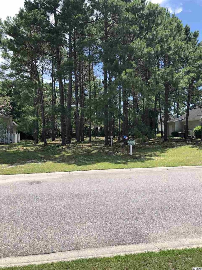 4175 Setter Ct, Myrtle Beach, SC 29579 - photo 7