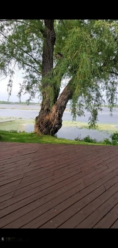 Deck 2