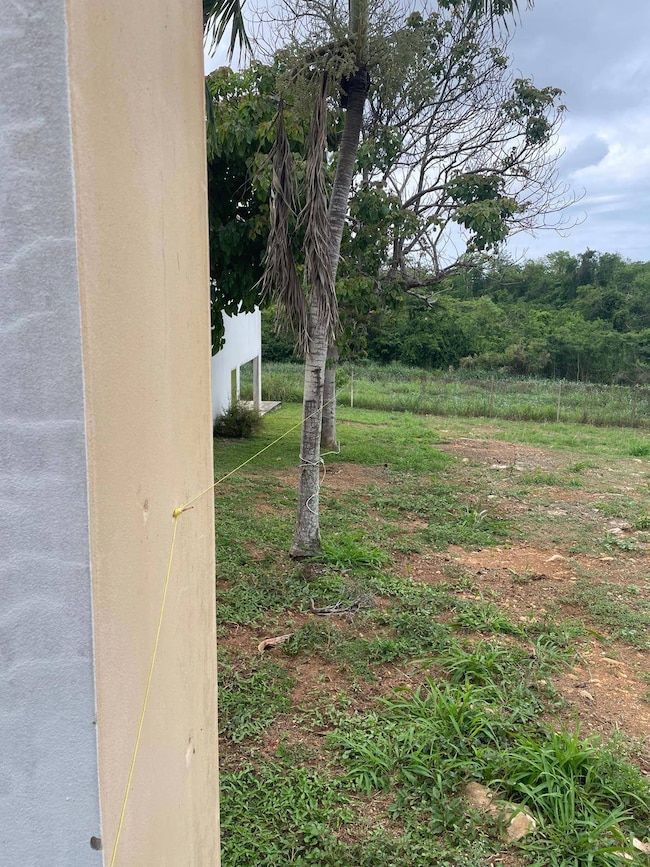 BO Mora 1 Brisas Del Atlántico, Isabela, PR 00662 - photo 5