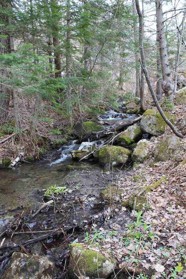 230 Us Route 302, West Topsham, VT 05086 - photo 4