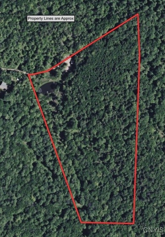 936 California Hollow Rd, Bolivar, NY 14715 - photo 2