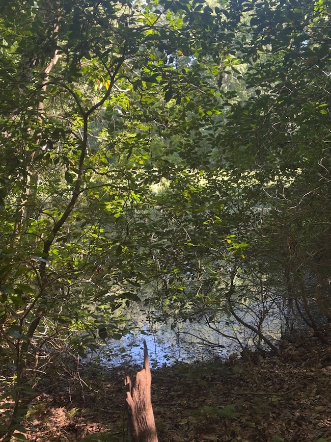 104B Beechwood Dr, Weems, VA 22576 - photo 6