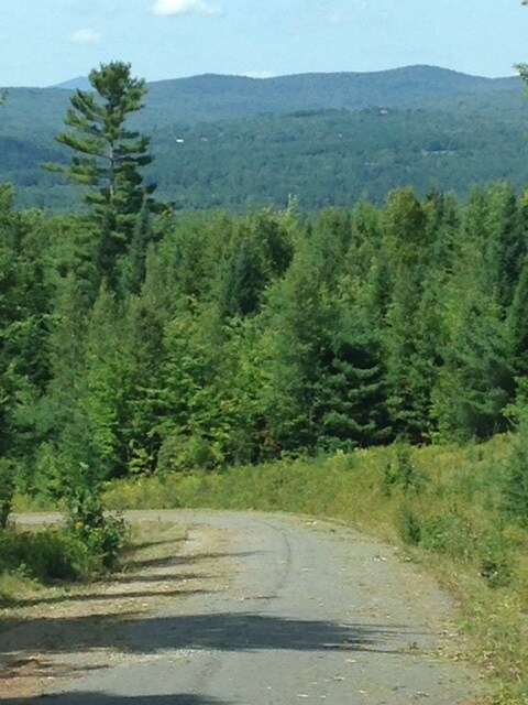 1 Morel Rd, Lancaster, NH 03584 - photo 6