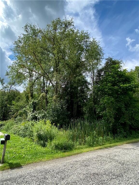 0 Woodlawn Dr unit 4208693, Doylestown, OH 44230 - photo 3