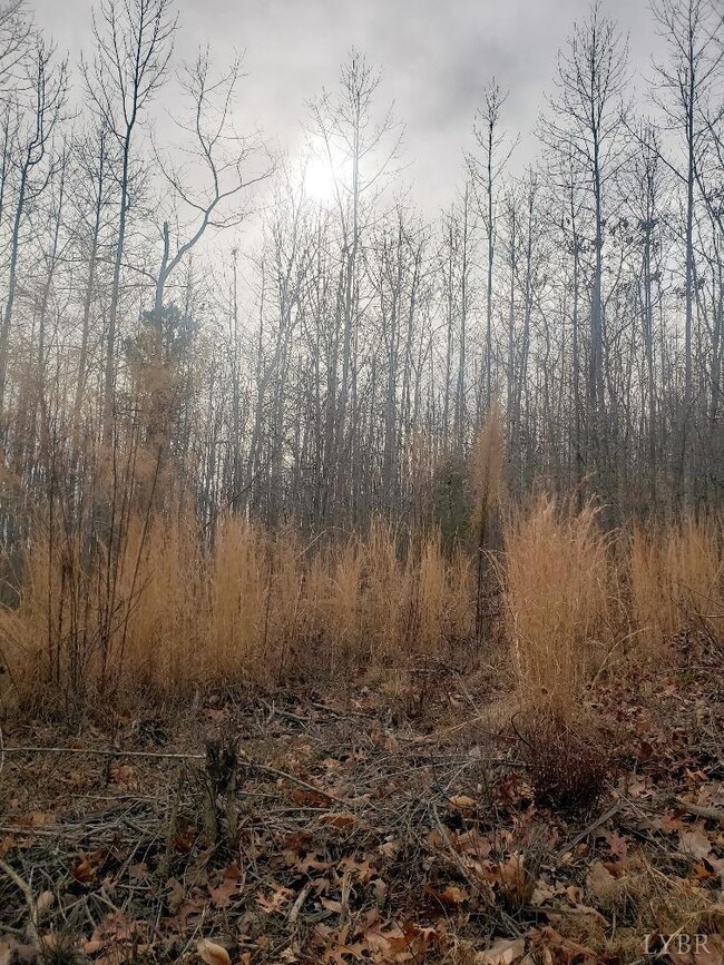 0 Mountain Creek Rd unit 363467, Prince Edward, VA 23942 - photo 4