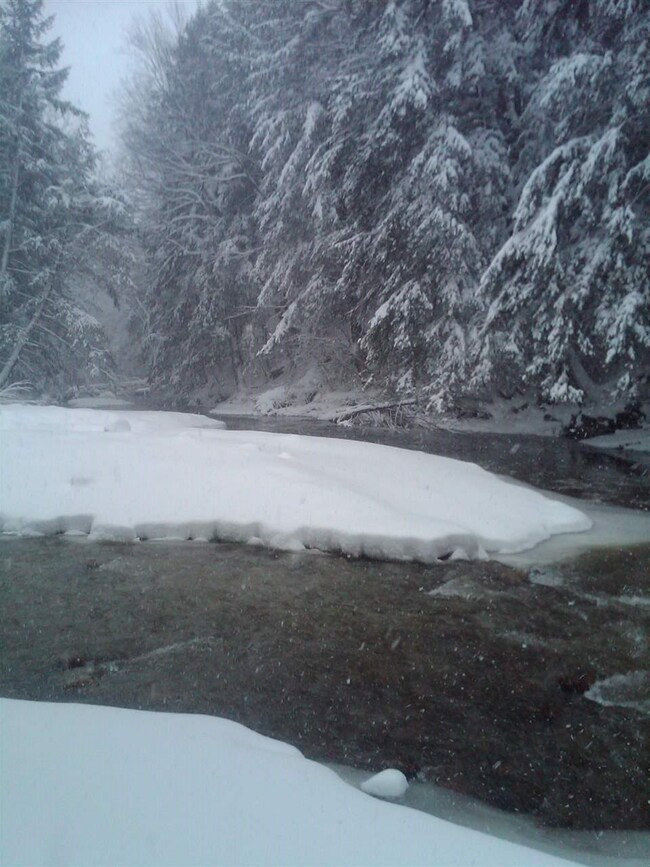 467 Roaring Branch Rd, Sunderland, VT 05250 - photo 5