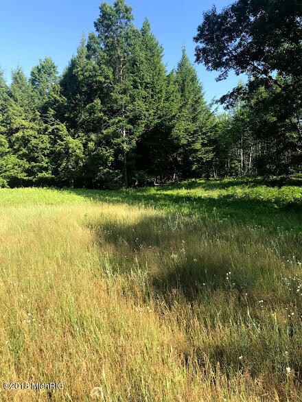 0 E 72nd St, Chase, MI 49623 - photo 4