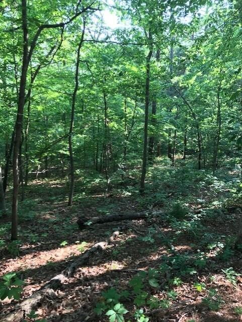 0 Burghley Ln unit 1119724, Bella Vista, AR 72714 - photo 4