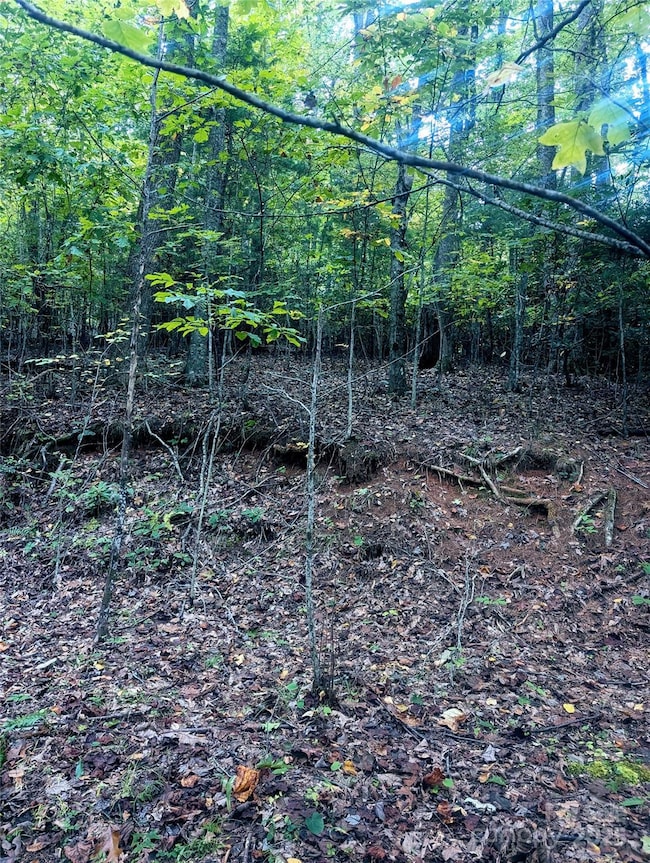 0 Luxury Lake None unit 5A/6A/7A, Etowah, NC 28739 - photo 5