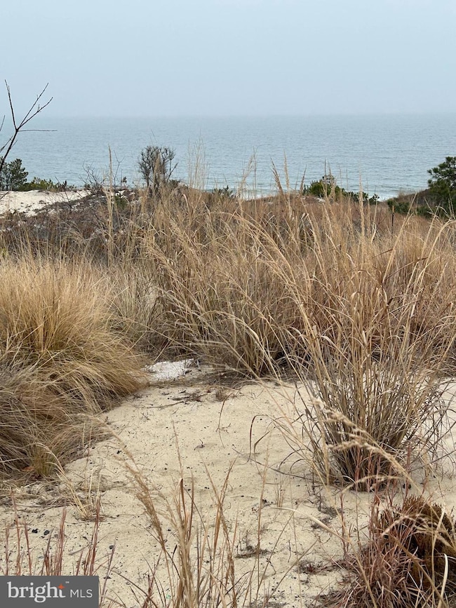 Lot 3 Mulberry St, Lewes, DE 19958 - photo 4
