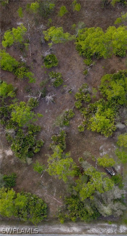 2119 Truman Ave, Alva, FL 33920 - photo 6