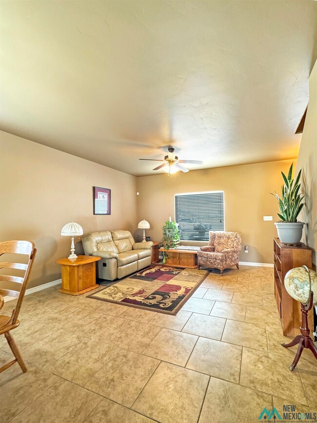 4005 Jesse James Ct, Carlsbad, NM 88220 - photo 6