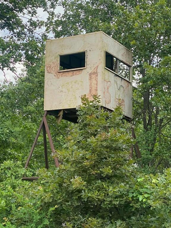 hunting blind