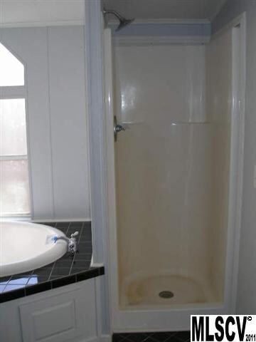 Master bath shower