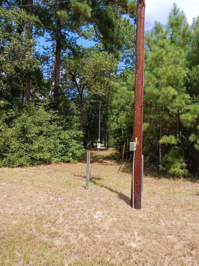 0 Fantail, Magnolia, TX 77355 - photo 7