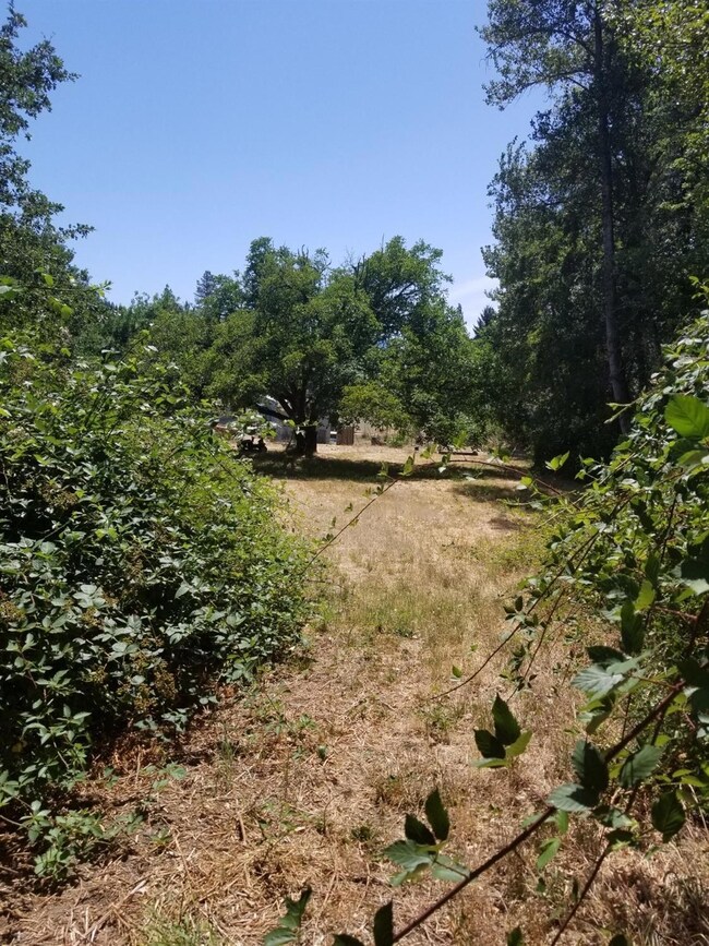 345 Earhart Rd, Rogue River, OR 97537 - photo 7