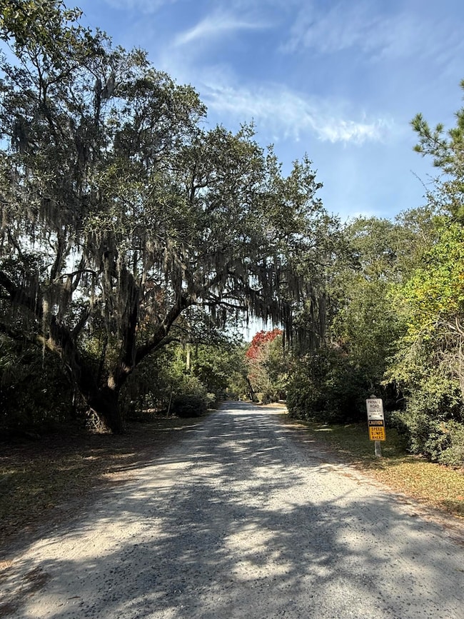 0 Yellow House Place unit 25031109, Cainhoy, SC 29492 - photo 5