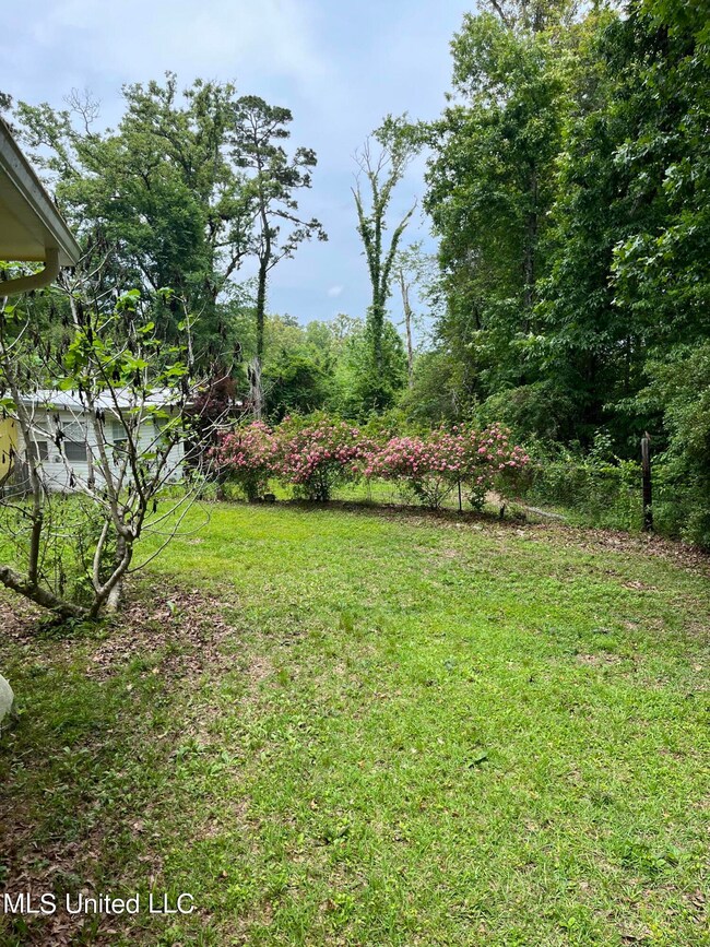 Backyard/Side yard