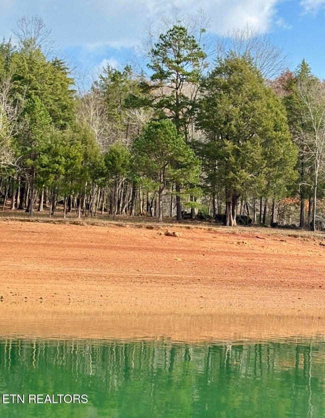 0 Bridle Way unit 1323079, Speedwell, TN 37870 - photo 3