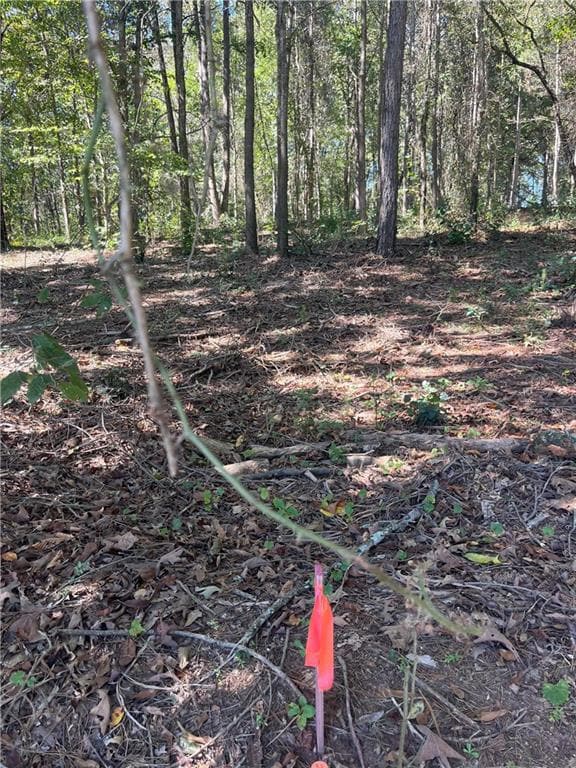 View of local wilderness