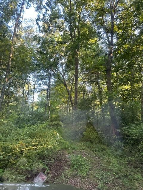 31514 Fairview Ridge Rd, Logan, OH 43138 - photo 6