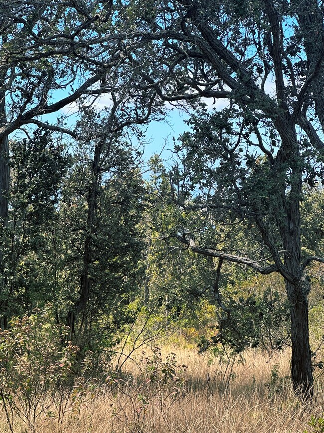 0 Coral Pkwy unit 721311, Ocean View, HI 96737 - photo 4