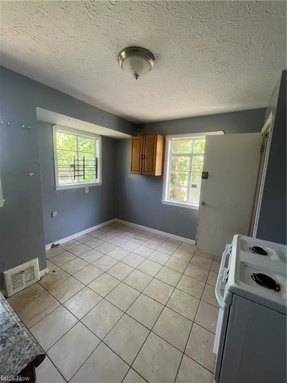 14205 Sylvia Ave, Cleveland, OH 44110 - photo 4