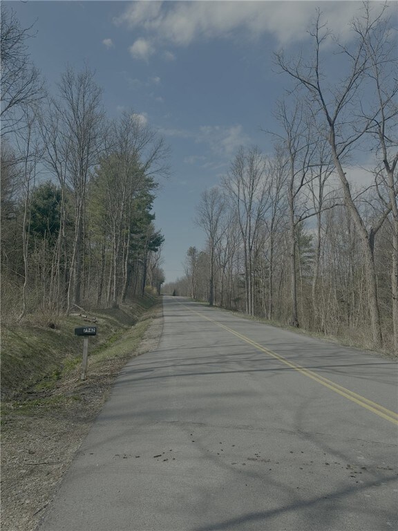 0 W Gulick Rd unit R1602201, South Bristol, NY 14512 - photo 5