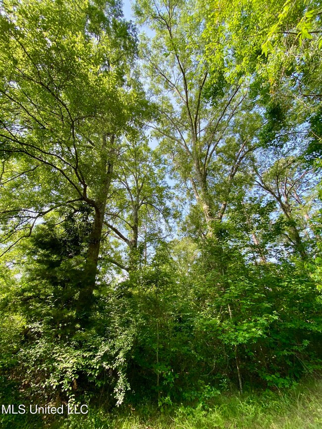 1396 Neal Rd, Picayune, MS 39466 - photo 3