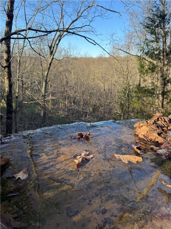 Tract 2 Nc 8374 Rd, Jasper, AR 72641 - photo 2