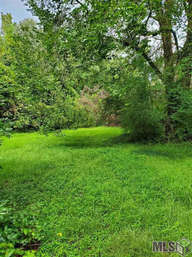 31460 La Hwy 16, Denham Springs, LA 70726 - photo 6