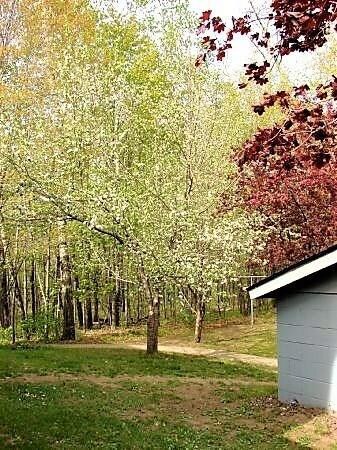 5267 Hwy A, Webster, WI 54893 - photo 5