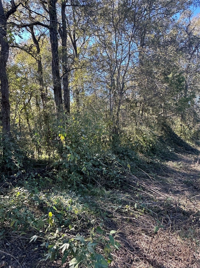 00 Oak Forest Dr, Guy, TX 77444 - photo 3