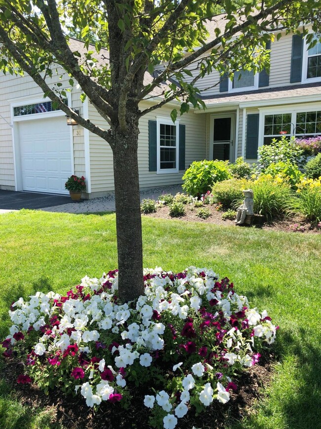 Beautiful Landscaping