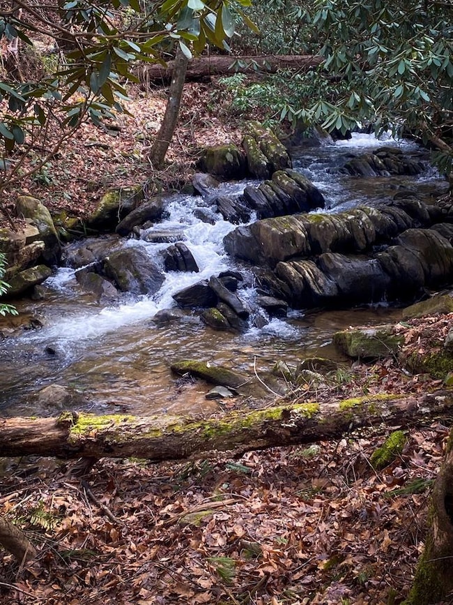 2151 Old Northcutt Rd, Ellijay, GA 30536 - photo 2