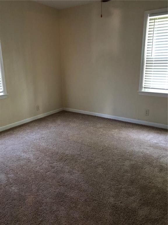 Brand new carpet