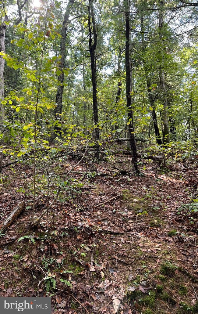 0 Somers Ln, Berkeley Springs, WV 25411 - photo 2