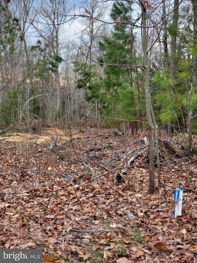 0 Point Lookout Rd, Lexington Park, MD 20653 - photo 4