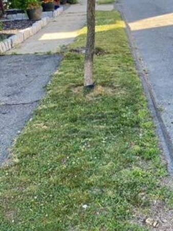 21 Mount Vernon St, Saugus, MA 01906 - photo 5