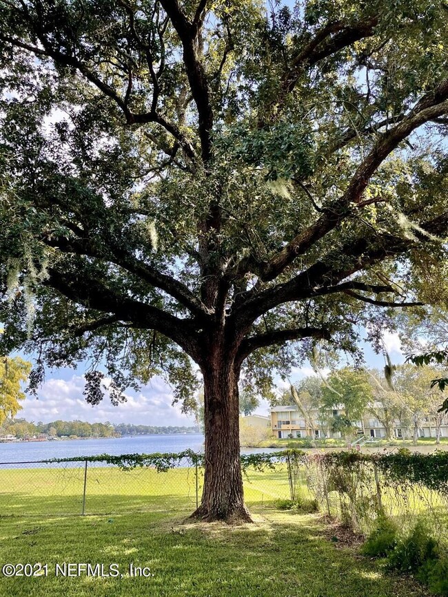 3761 Cedarcrest Dr, Jacksonville, FL 32210 - photo 7