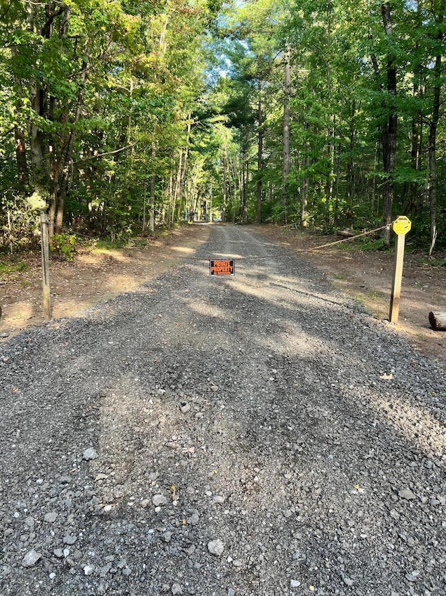 8268 S Ferris Ave, Newaygo, MI 49337 - photo 2