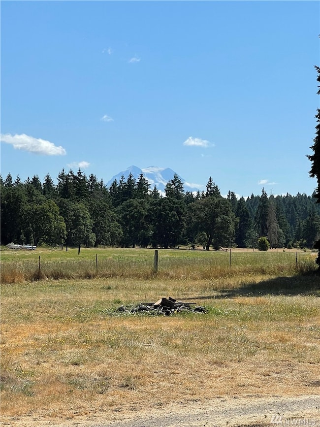 12044 Bald Hill Rd SE, Yelm, WA 98597 - photo 4