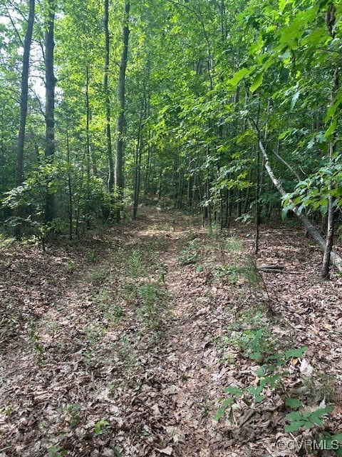 0 Ballsville Rd unit 2519909, Powhatan, VA 23139 - photo 5